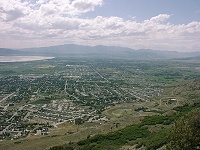 Bees in Pleasant Grove, UT