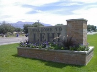 Millipedes in Lehi, UT